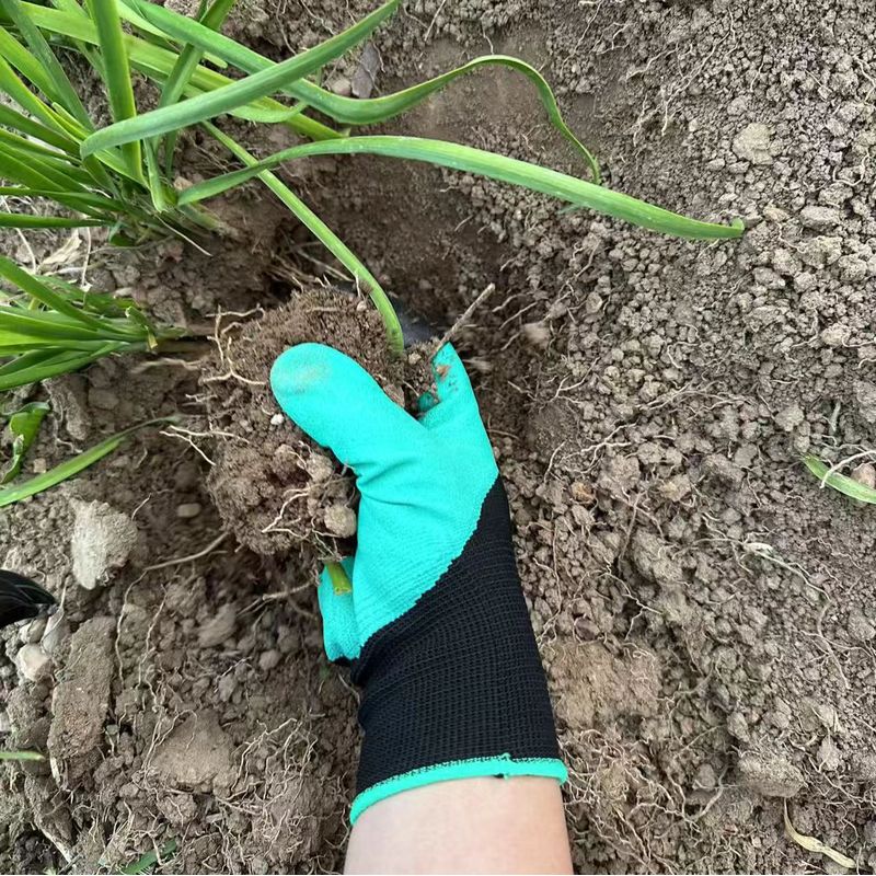 Gardening Gloves with Built-in - Gardening Glove Waterproof recension och pris